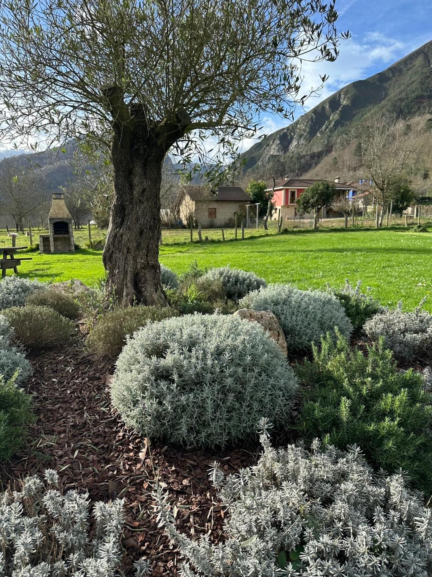 Casa Rural Nasares San Juan de Parres Dış mekan fotoğraf