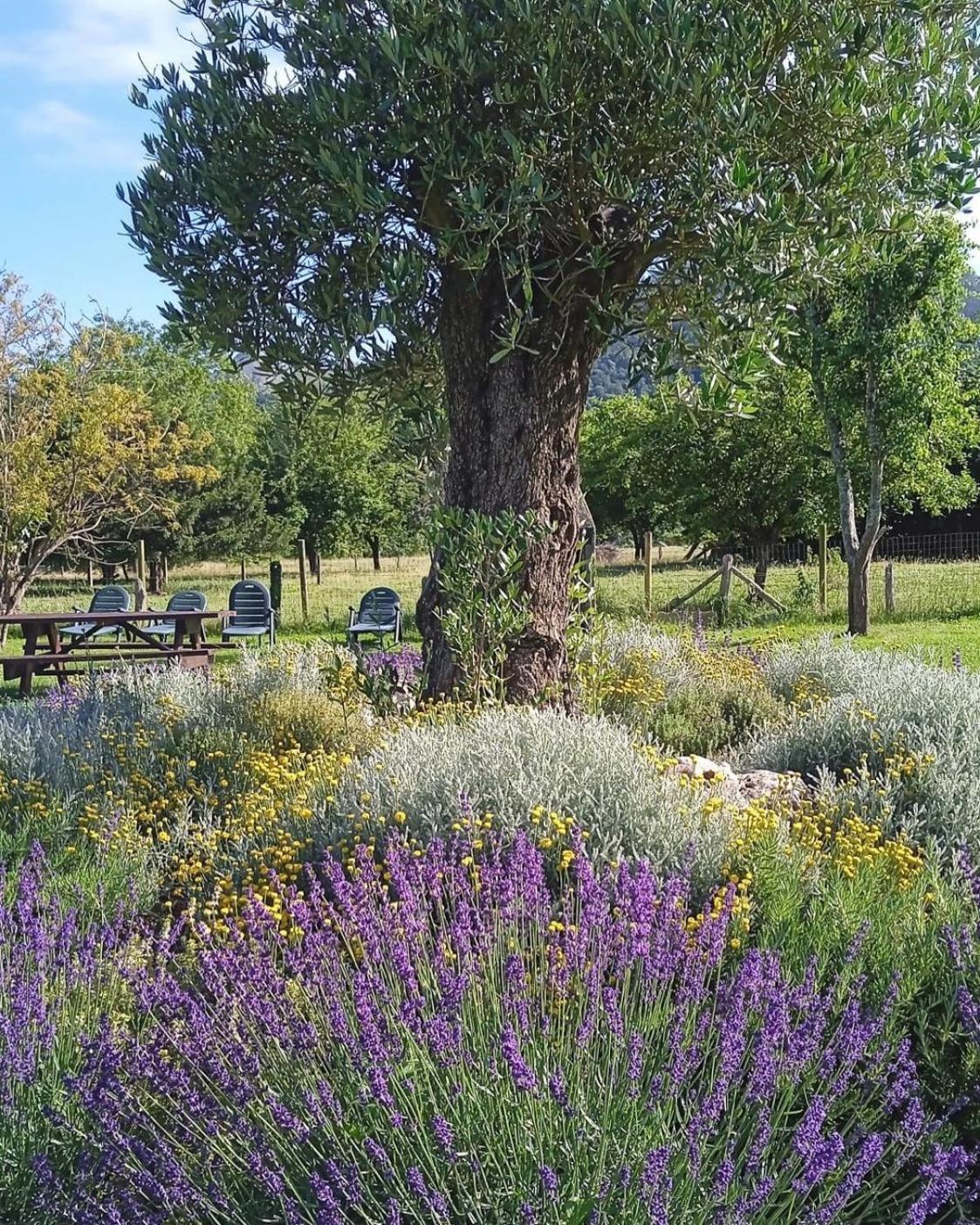 Casa Rural Nasares San Juan de Parres Dış mekan fotoğraf